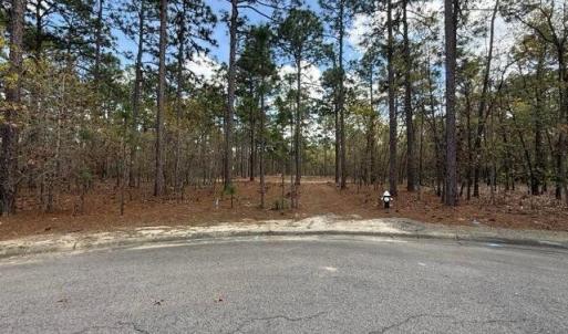 Photo #6 of 27 Birkdale, Pinehurst, NC 2.1 acres