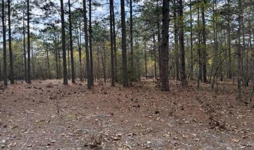Photo #18 of 27 Birkdale, Pinehurst, NC 2.1 acres
