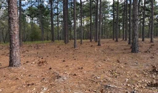 Photo #19 of 27 Birkdale, Pinehurst, NC 2.1 acres