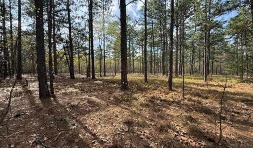 Photo #10 of 27 Birkdale, Pinehurst, NC 2.1 acres
