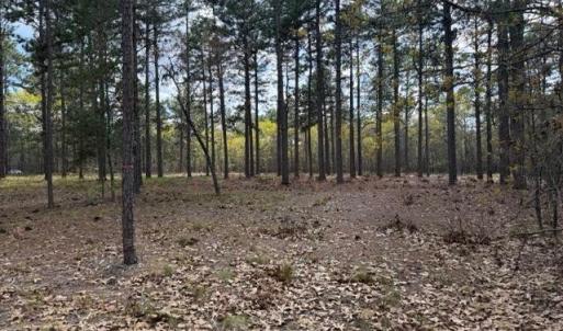 Photo #16 of 27 Birkdale, Pinehurst, NC 2.1 acres