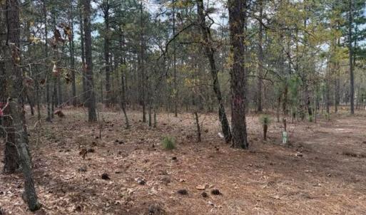Photo #14 of 27 Birkdale, Pinehurst, NC 2.1 acres