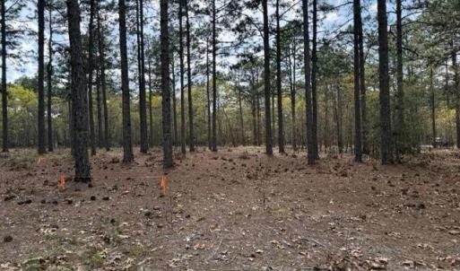 Photo #17 of 27 Birkdale, Pinehurst, NC 2.1 acres