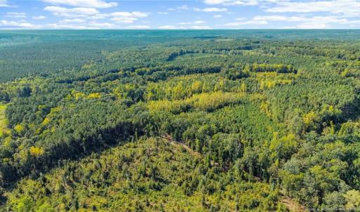 Photo #3 of 5322 River Road, Fuquay Varina, NC 46.6 acres