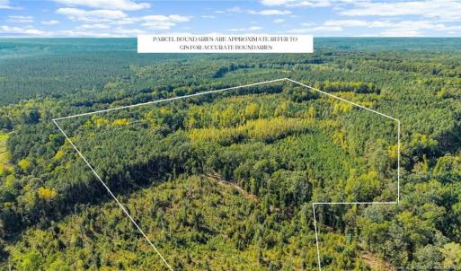 Photo #1 of 5322 River Road, Fuquay Varina, NC 46.6 acres