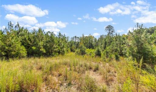 Photo #5 of 5322 River Road, Fuquay Varina, NC 46.6 acres