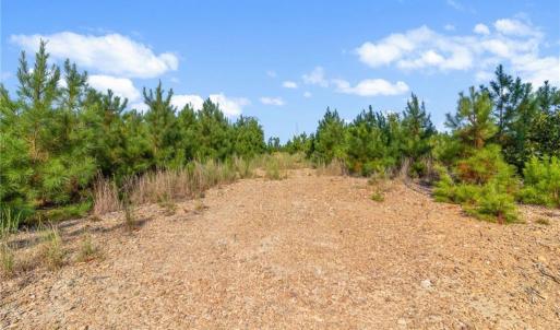 Photo #4 of 5322 River Road, Fuquay Varina, NC 46.6 acres