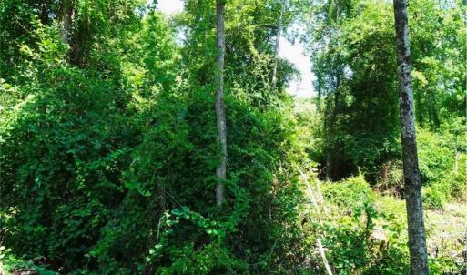 Photo #2 of Ridgefield, Eastover, NC 0.5 acres