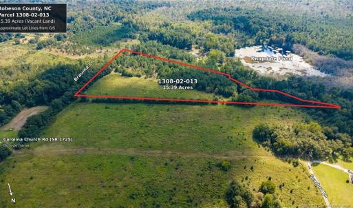 Photo #1 of TBD Brauma, Parkton, NC 15.4 acres