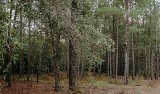 Photo #2 of Lot 1-TBD Nighthawk, Aberdeen, NC 1.1 acres