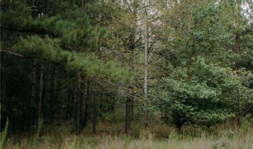 Photo #6 of Lot 3-TBD Nighthawk, Aberdeen, NC 7.1 acres
