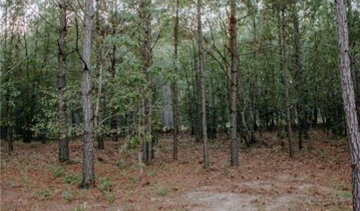 Photo #3 of Lot 3-TBD Nighthawk, Aberdeen, NC 7.1 acres