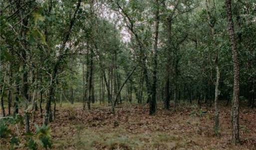 Photo #7 of Lot 3-TBD Nighthawk, Aberdeen, NC 7.1 acres