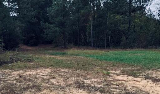 Photo #1 of East Governor Brandon, Spring Lake, NC 2.8 acres