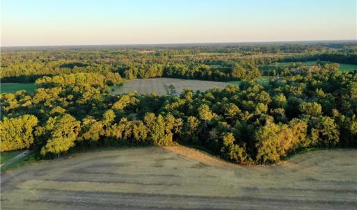 Photo #11 of Tar Heel Rd, Lumberton, NC 17.2 acres