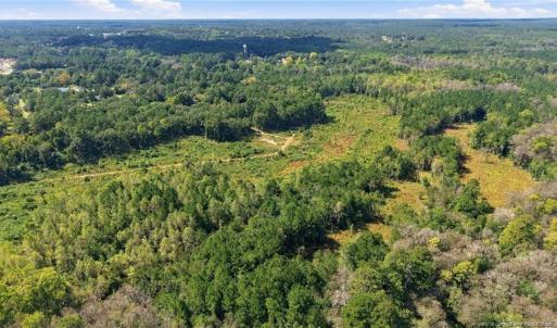 Photo #11 of Hill, Raeford, NC 55.3 acres
