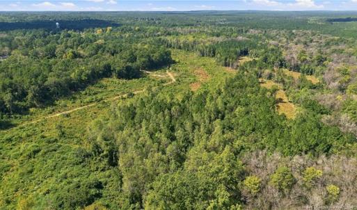 Photo #13 of Hill, Raeford, NC 55.3 acres