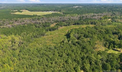Photo #4 of Hill, Raeford, NC 55.3 acres