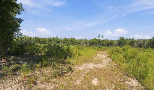 Photo #2 of Hill, Raeford, NC 55.3 acres
