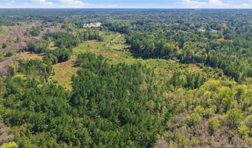 Photo #7 of Hill, Raeford, NC 55.3 acres