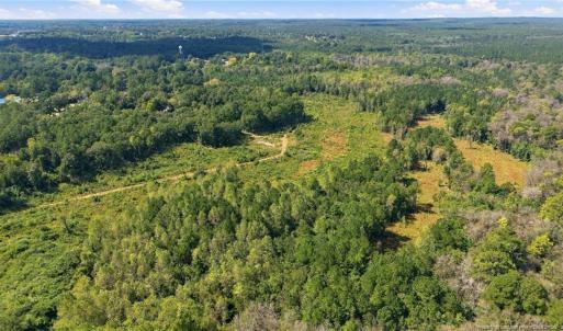 Photo #12 of Hill, Raeford, NC 55.3 acres