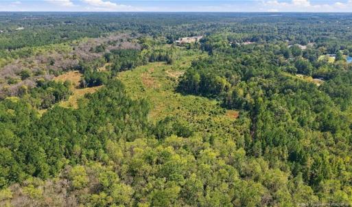Photo #6 of Hill, Raeford, NC 55.3 acres