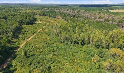 Photo #15 of Hill, Raeford, NC 55.3 acres