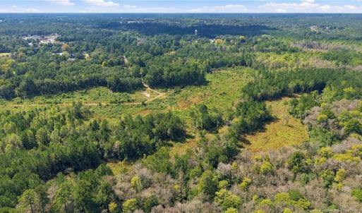 Photo #10 of Hill, Raeford, NC 55.3 acres