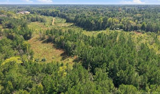 Photo #8 of Hill, Raeford, NC 55.3 acres