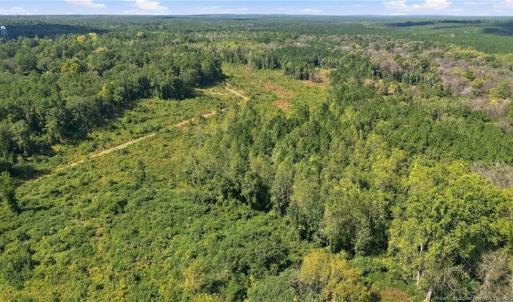 Photo #14 of Hill, Raeford, NC 55.3 acres