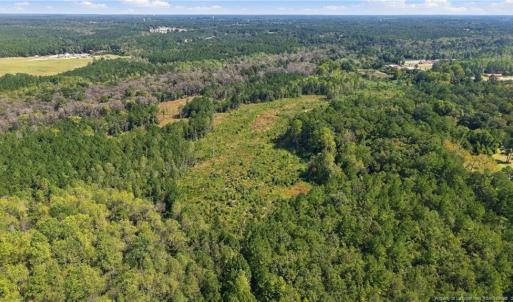Photo #5 of Hill, Raeford, NC 55.3 acres