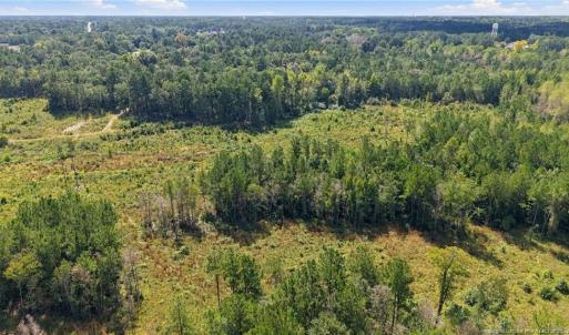 Photo #9 of Hill, Raeford, NC 55.3 acres
