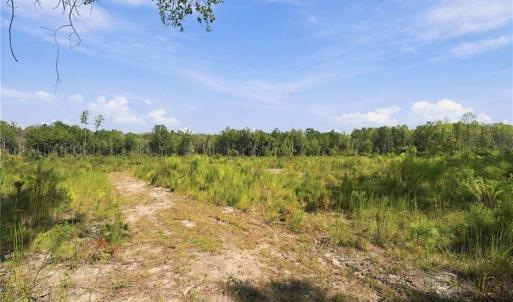 Photo #1 of Hill, Raeford, NC 55.3 acres