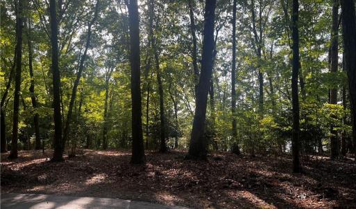 Photo #6 of 2013 Sandalwood, Sanford, NC 0.4 acres