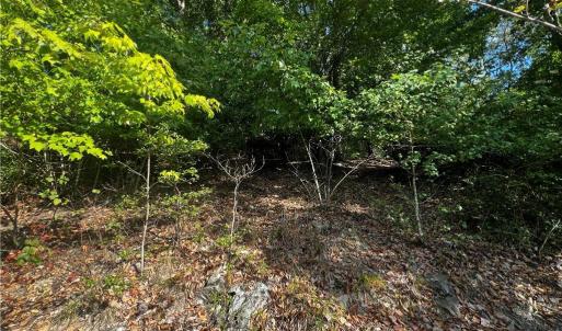 Photo #7 of 2013 Sandalwood, Sanford, NC 0.4 acres