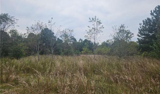 Photo #1 of Shannon, Shannon, NC 37.0 acres