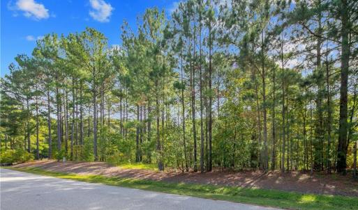 Photo #17 of 326 Micahs Way, Spring Lake, NC 0.4 acres