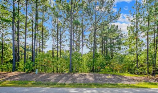 Photo #8 of 326 Micahs Way, Spring Lake, NC 0.4 acres