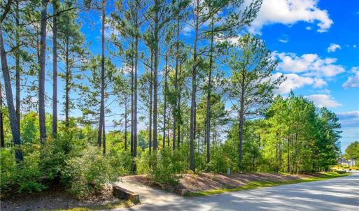Photo #7 of 326 Micahs Way, Spring Lake, NC 0.4 acres