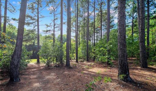 Photo #9 of 326 Micahs Way, Spring Lake, NC 0.4 acres