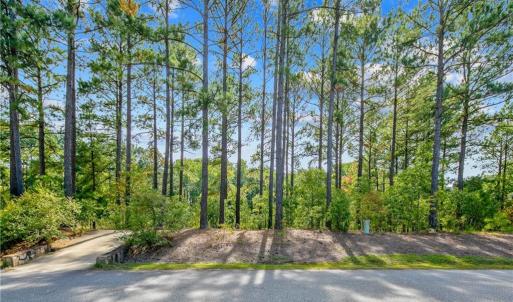 Photo #6 of 326 Micahs Way, Spring Lake, NC 0.4 acres