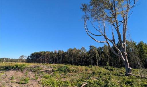 Photo #1 of 6635 Nc Highway 87, Fayetteville, NC 9.4 acres
