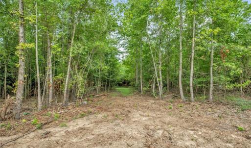 Photo #11 of Riverstead (Lot 2), Fayetteville, NC 16.4 acres