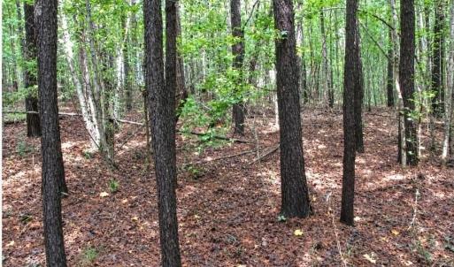 Photo #2 of 6700 Cass Holt, Holly Springs, NC 38.5 acres