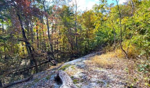 Photo #32 of CASTLETON VIEW ROAD, CASTLETON, VA 25.2 acres