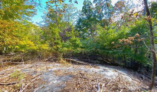 Photo #31 of CASTLETON VIEW ROAD, CASTLETON, VA 25.2 acres