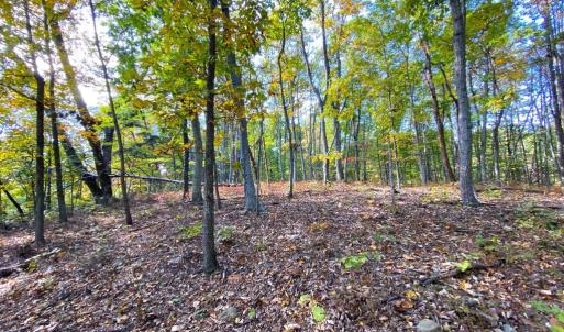 Photo #3 of CASTLETON VIEW ROAD, CASTLETON, VA 25.2 acres