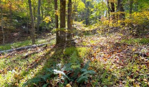 Photo #4 of CASTLETON VIEW ROAD, CASTLETON, VA 25.2 acres