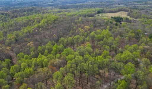 Photo #7 of CASTLETON VIEW ROAD, CASTLETON, VA 25.2 acres