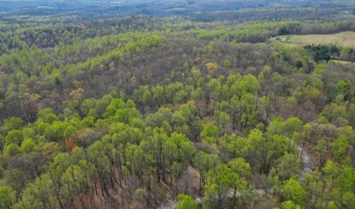 Photo #8 of CASTLETON VIEW ROAD, CASTLETON, VA 25.2 acres